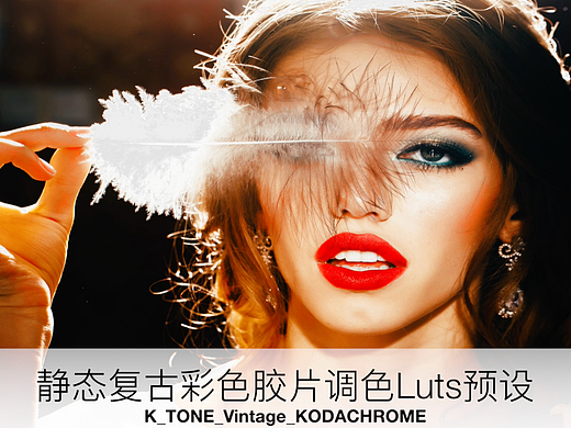 复古静态彩色胶卷Luts预设