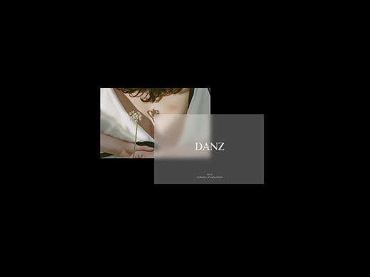 Danz 丨 丹姿品牌