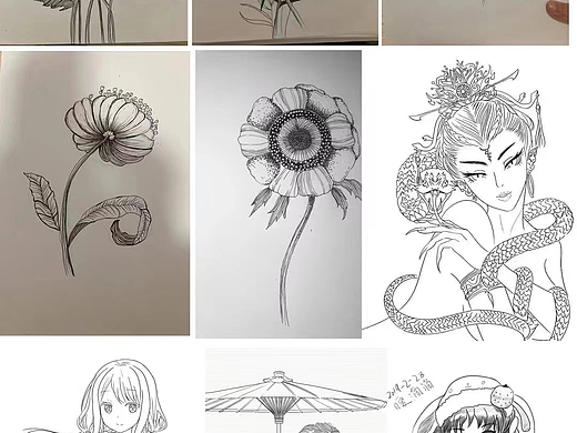 插画线稿