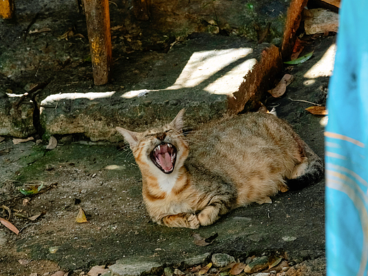 陈旧的街道与巷子，里面藏着多少故事