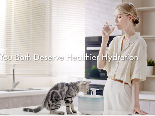 Petlibro宠物饮水器