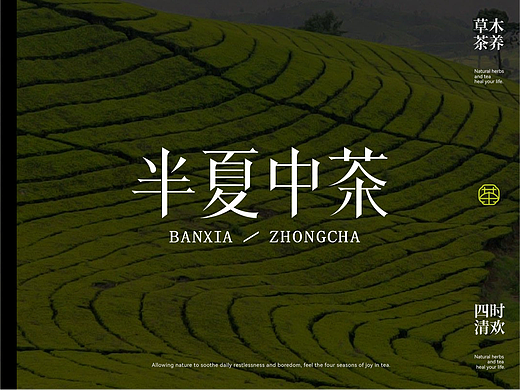 半夏中茶-中式茶饮品牌设计