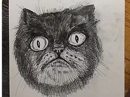 发泄画的画【猫头】