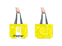 Corgiology柯學(xué)主義｜工作室包裝設(shè)計(jì)案例分享｜寵物