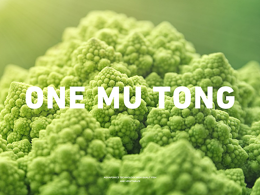 一亩通｜MIAO品牌案例