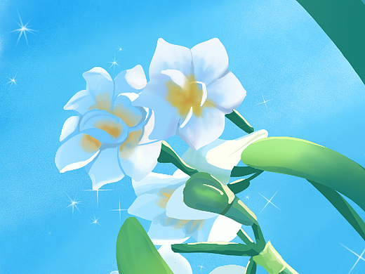 手绘插画-水仙花