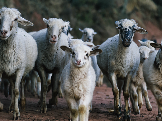 2017年春节回家村子里面