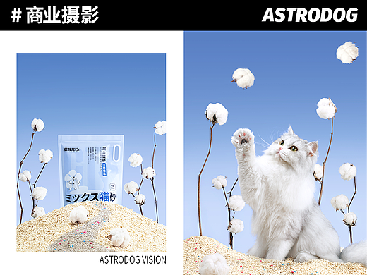 宠物食品拍摄-倔强的尾巴&嘴巴视觉升级 猫砂猫粮洗护