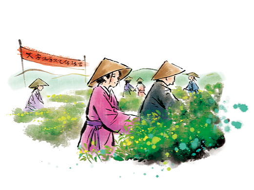 一组中国茶系列小插画