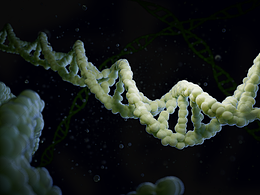 科研繪圖-法醫(yī)物證鑒定-主要技術(shù)-DNA定量