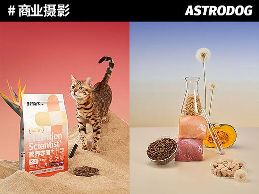 宠物食品摄影-布兰德营养学加全价猫粮狗粮 主粮冻干