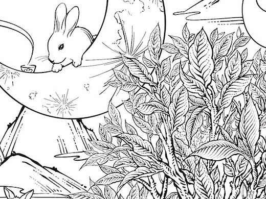 兔年生肖茶--“白兔赤乌”