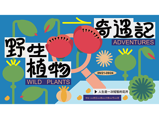 野生植物奇遇记