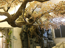 南宁水泥雕塑制作