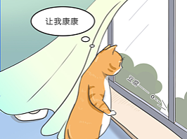 遛猫教程(上篇)