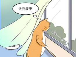 遛猫教程（上篇）