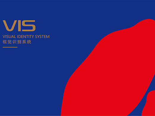 枸杞红蓝包装设计 