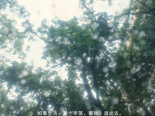 深圳南山区-华侨城-欢乐海岸一日游vlog