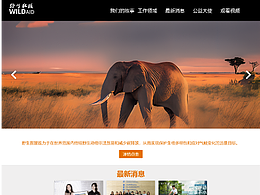 野生救援官网Web（临摹）