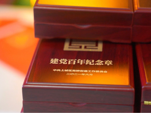 政府类党建百年视频