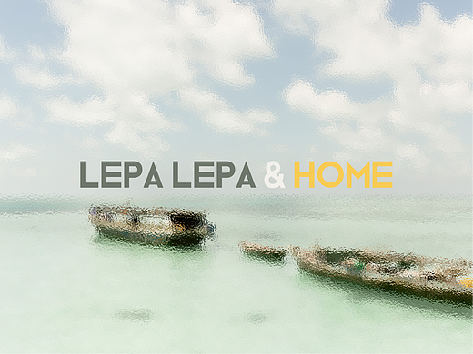 LEPA LEPA&HOME 网页设计