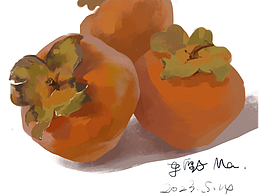 大柿字 照片写生