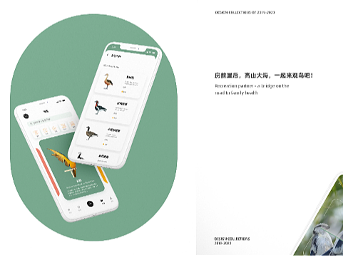 识只——观鸟APP