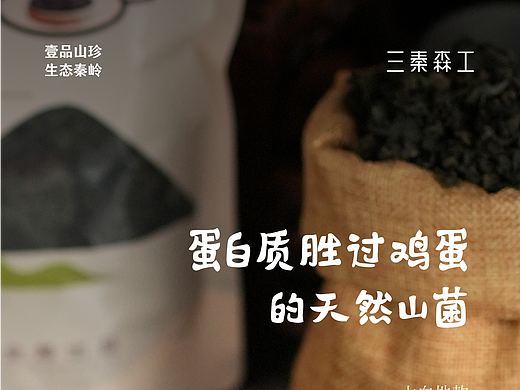 三秦森工山珍杂粮产品主画面设计