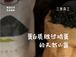 三秦森工山珍杂粮产品主画面设计