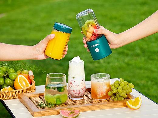 双杯榨汁机/便携