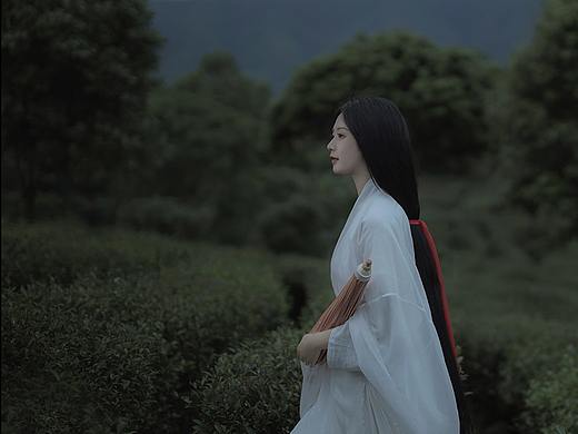 中国文化——茶