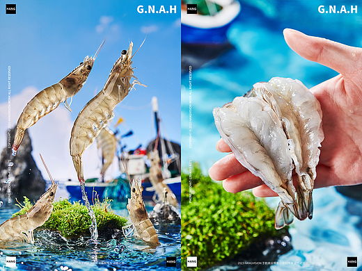 活虾厄瓜多尔白虾海鲜基围虾活鲜青岛大虾大连海鲜拍摄