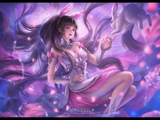 菡萏星河