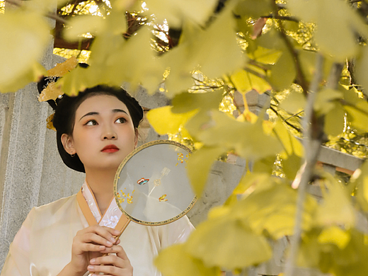 魏晋汉服银杏晚秋（个人主页-ZNjMxMTU0MjQ=） - 人像摄影 - 站酷设计师负梵原创素材 - 站酷ZCOOL