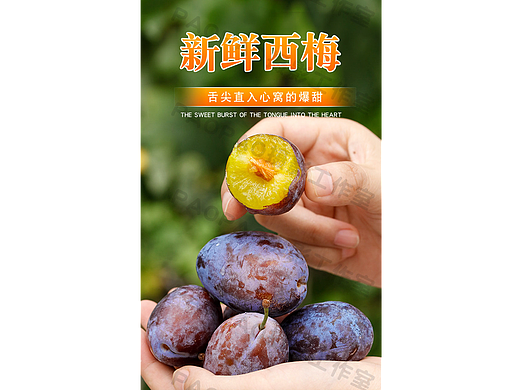 搬图猫生鲜美食素材网 | 新鲜西梅电商爆款详情