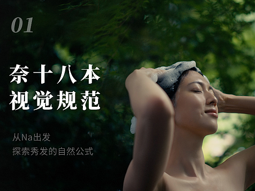 奈十八本视觉规范