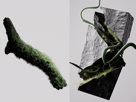 一些C4D植物生长 动态作品