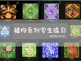植物系列写生练习合集