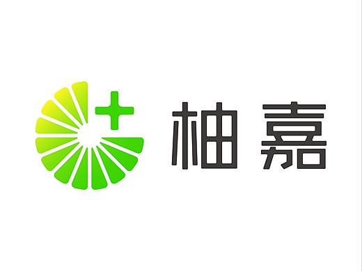 柚嘉健康 品牌设计