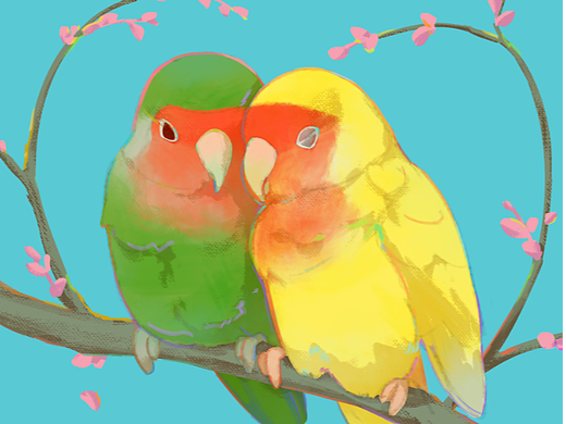 lovebird