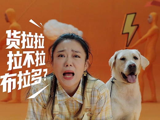 所以，货拉拉拉拉的不多的拉布拉多吗？