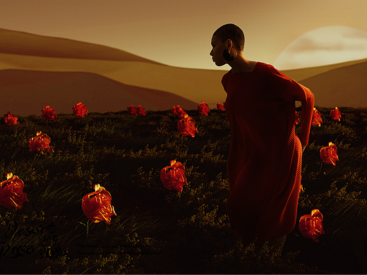 Desert Rose | 沙漠玫瑰