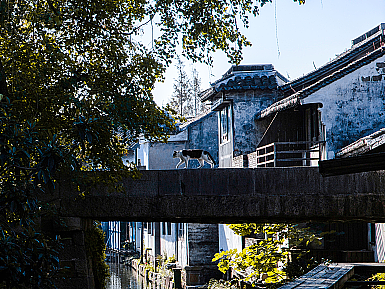 昆山 歇馬橋古鎮(zhèn)（個人主頁-ZNjQ3MTQ5MjQ=） - 環(huán)境/建筑攝影 - 站酷設(shè)計師無有建筑攝影原創(chuàng)素材 - 站酷ZCOOL