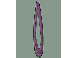 精神堡垒:含苞欲放