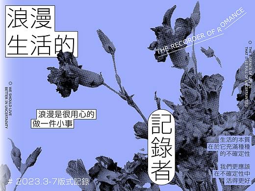 近期版式合集