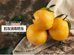 又是一年的脐橙丰收季