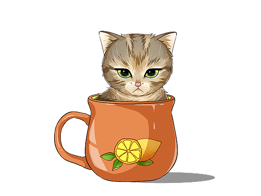 茶杯猫168