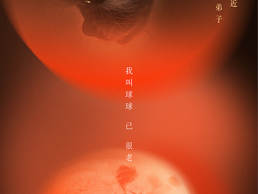 正行设计·莲花朵朵开