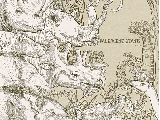 《动物插画》-Paleogene 物种（一）