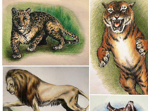 练习册（不定期更新）